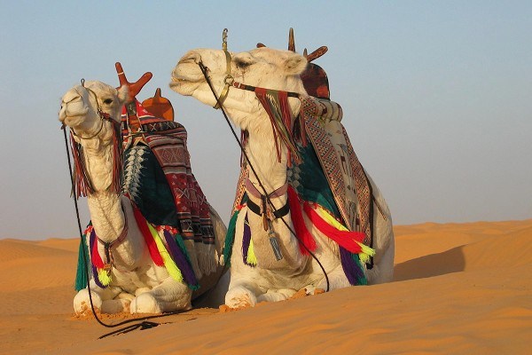 Amazing-Travel-to-Desert-in-Tunisia